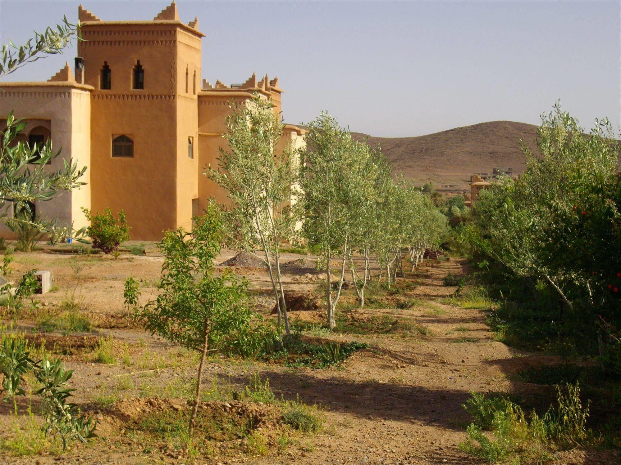 Kasbah Zitoune Tajda Ngoại thất bức ảnh